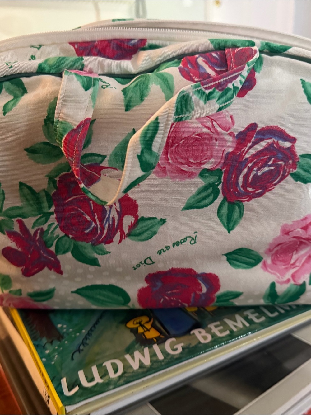 Dior Rose Print Canvas Cosmetic Bag in Pink and Green